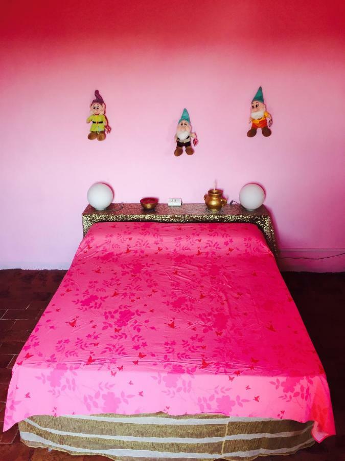 라벤나 Il Rudere B&B 외부 사진